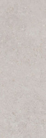 Керамическая плитка настенная Риккарди серый светлый мат. обр. 14053R 40*120*1 KERAMA MARAZZI