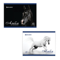 Альбом для рисования А4 40 листов скоба обложка картон BRAUBERG 200х283 мм Благородные кони 2 вида 103728
