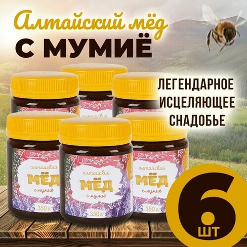 Мед с мумие 6 банок по 350 грамм Алтайвита Altaivita
