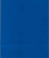 Бумажная продукция Комус Тетрадь общая А5, 48 листов, клетка, скрепка, обложка бумвинил, блок офсет-2, синяя