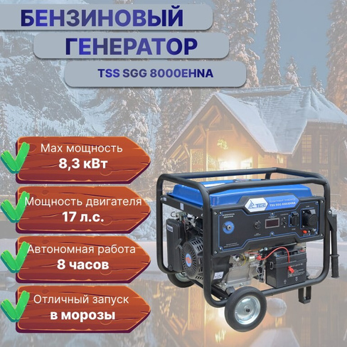 Бензиновый генератор TSS SGG 8000EHNA