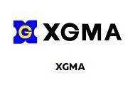 Погрузчики XGMA