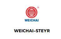 Запчасти для двигателя WEICHAI-STEYR